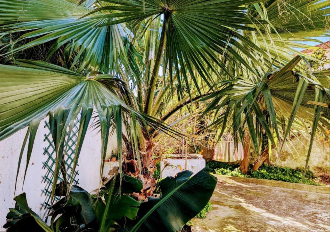 Cozy 3 Bedroom Home - Close To Beach Lourinha  Exterior photo